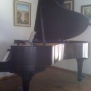 Yamaha G2E
